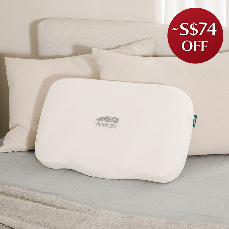 MONGZE Ergo Airnet™ Pillow