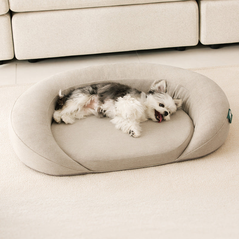 MONGZE Airnet™ Pet Bed