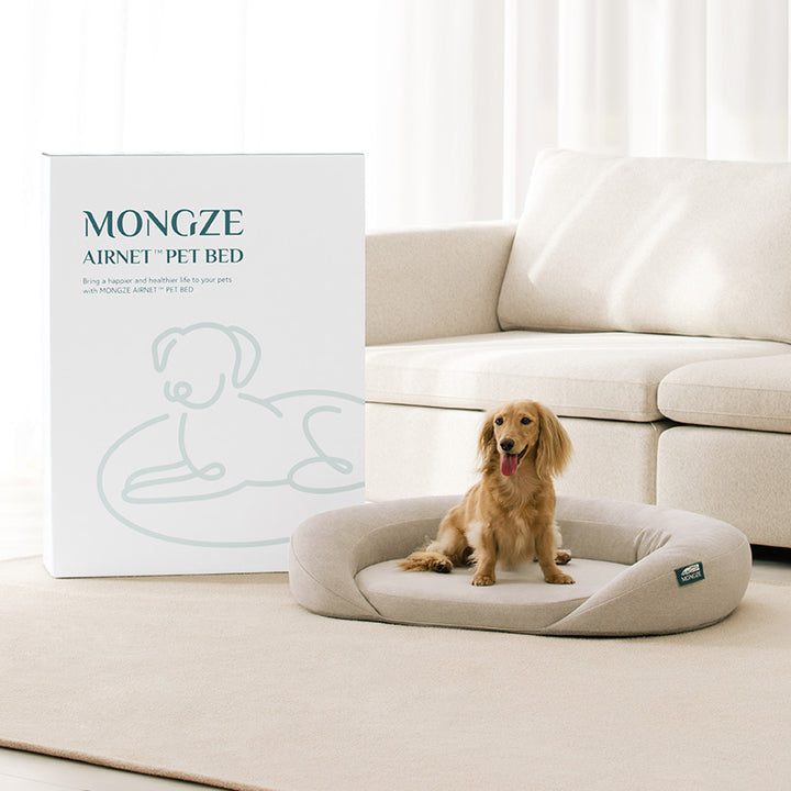 MONGZE Airnet™ Pet Bed