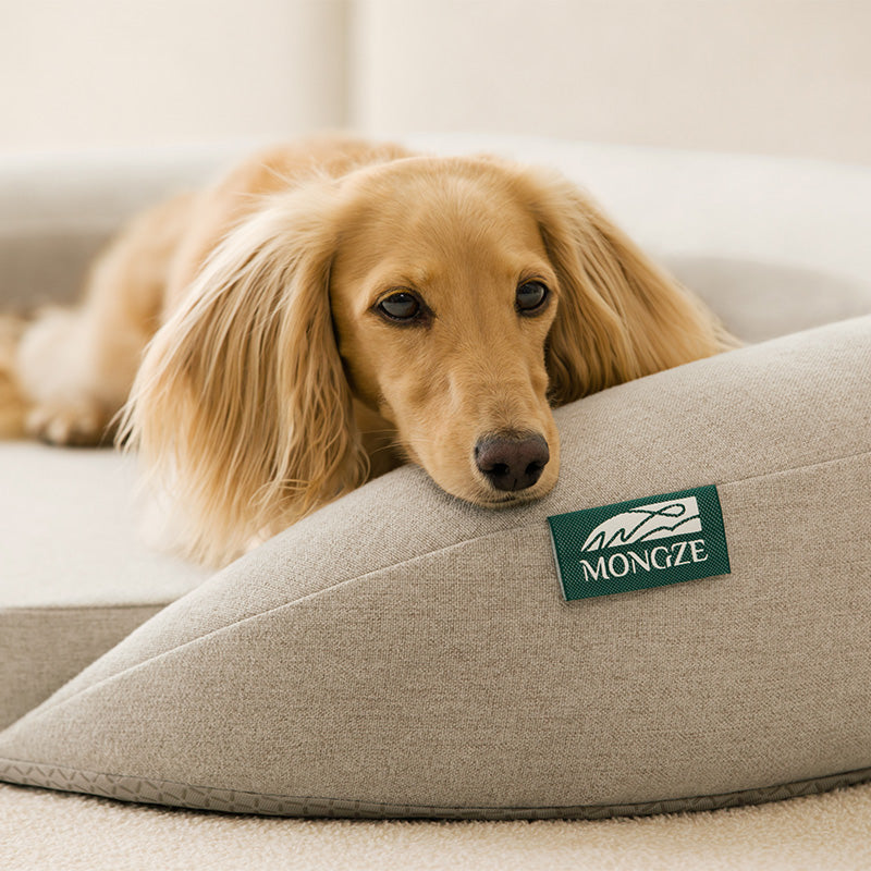 MONGZE Airnet™ Pet Bed