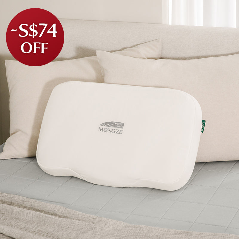 MONGZE Ergo Airnet™ Pillow